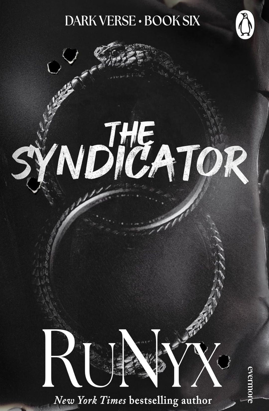 The Syndicater (Dark Verse, #6) by RuNyx