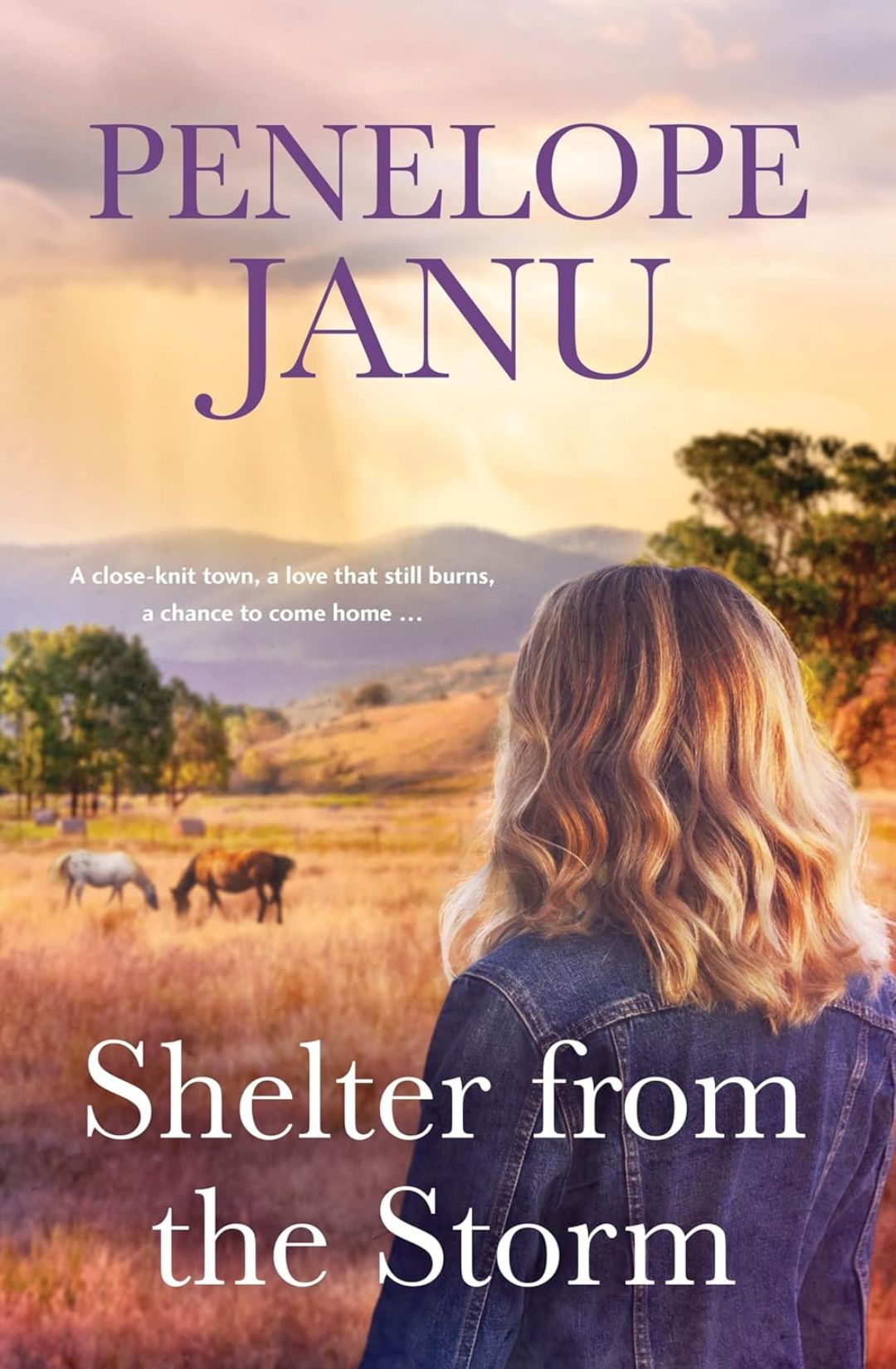 Shelter from the Storm by Penelope Janu
