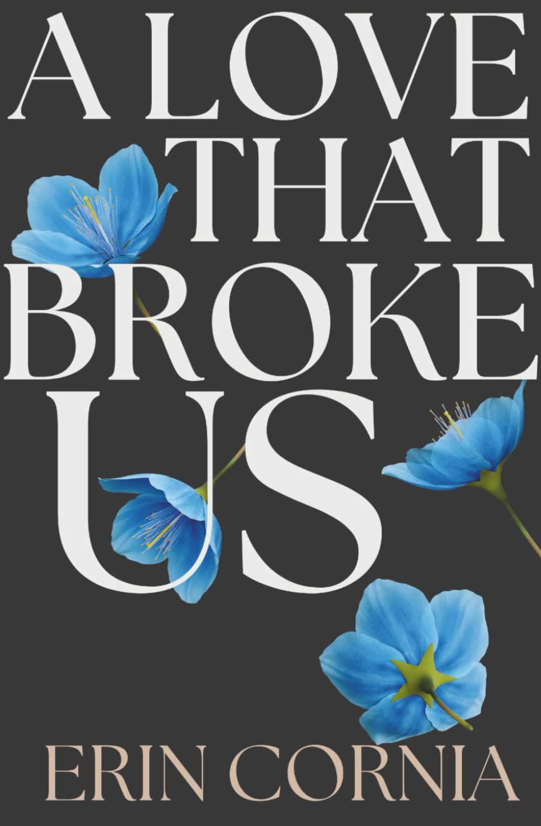 A Love That Broke Us (The Broken & Bound Duet #1) by Erin Cornia