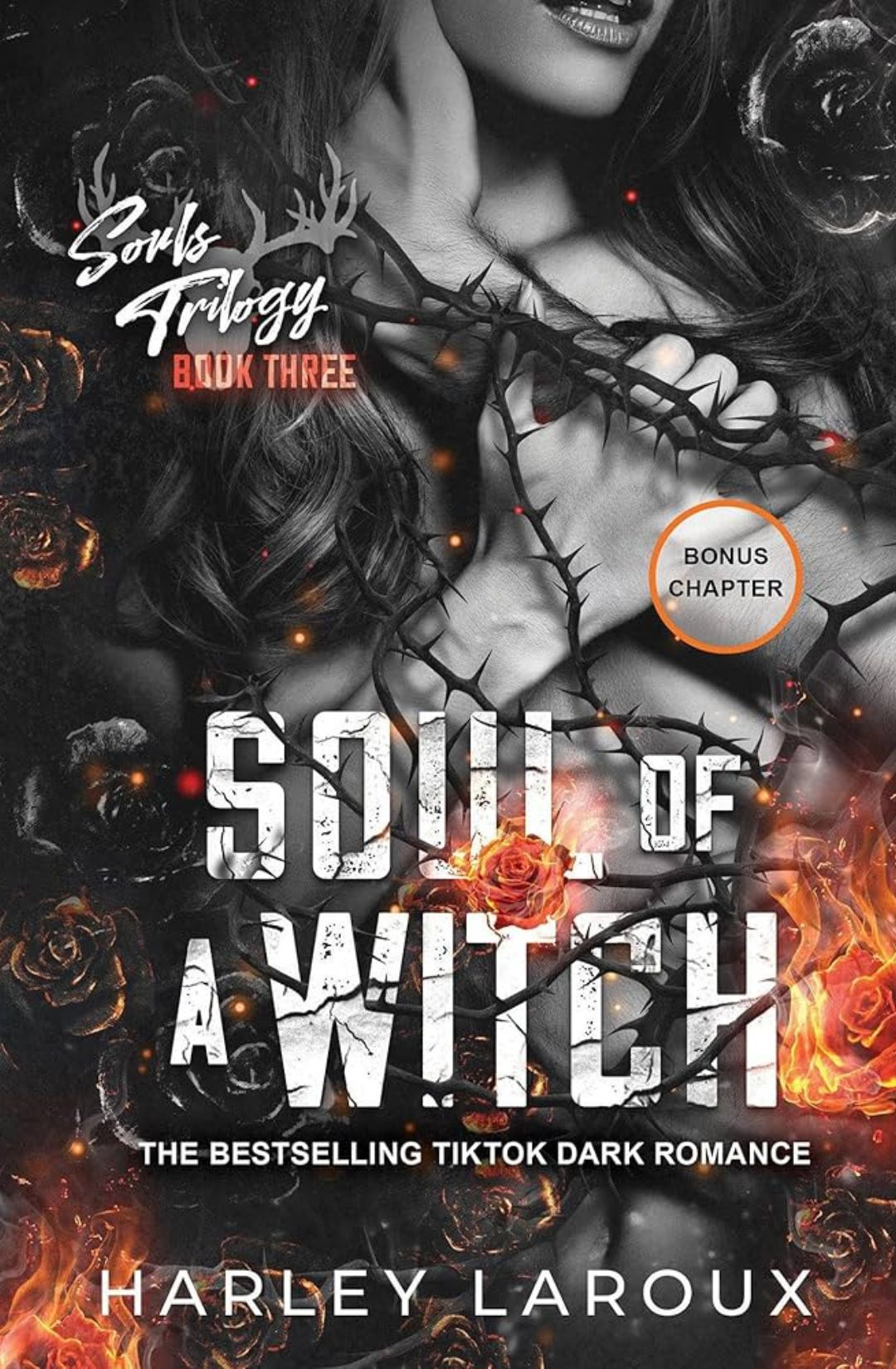 Soul of a Witch (Souls Trilogy, #3) by Harley Laroux