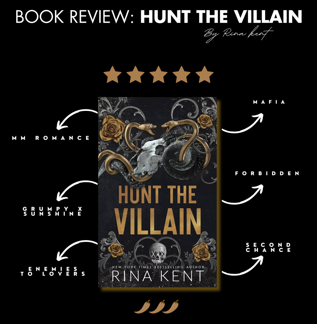 Book Review: Hunt The Villain By Rina Kent