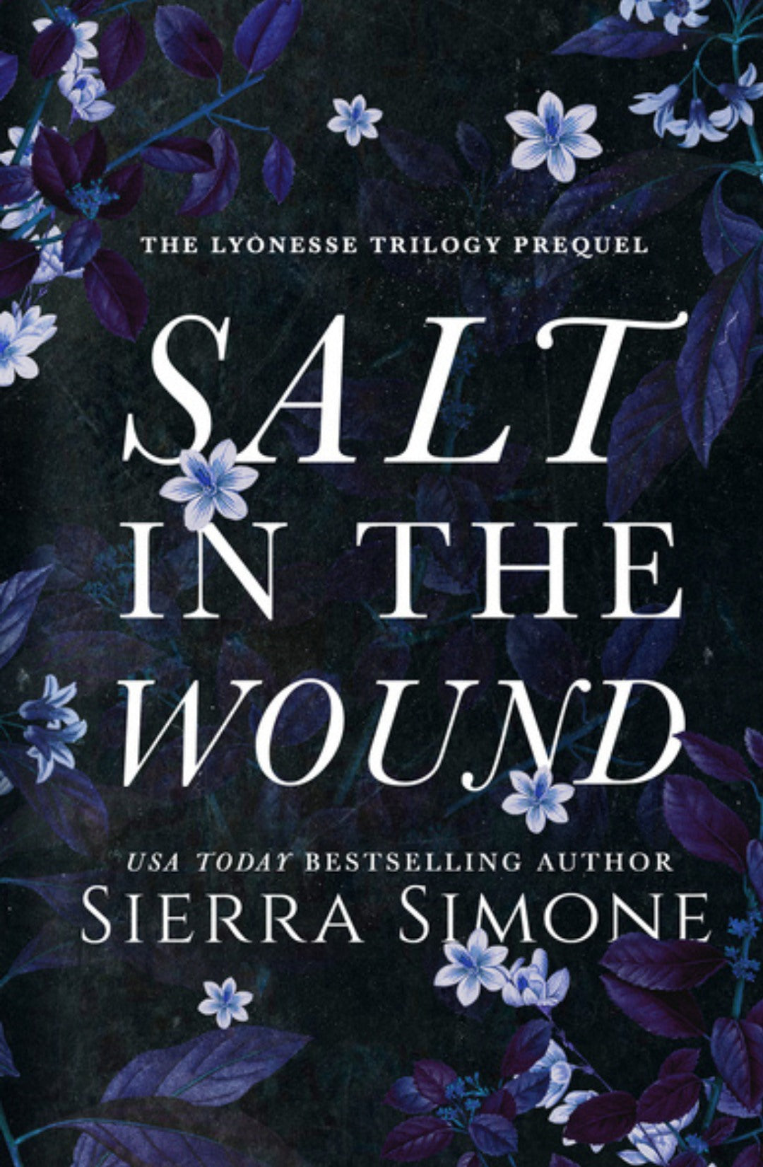 Salt In The Wound - Sierra Simone