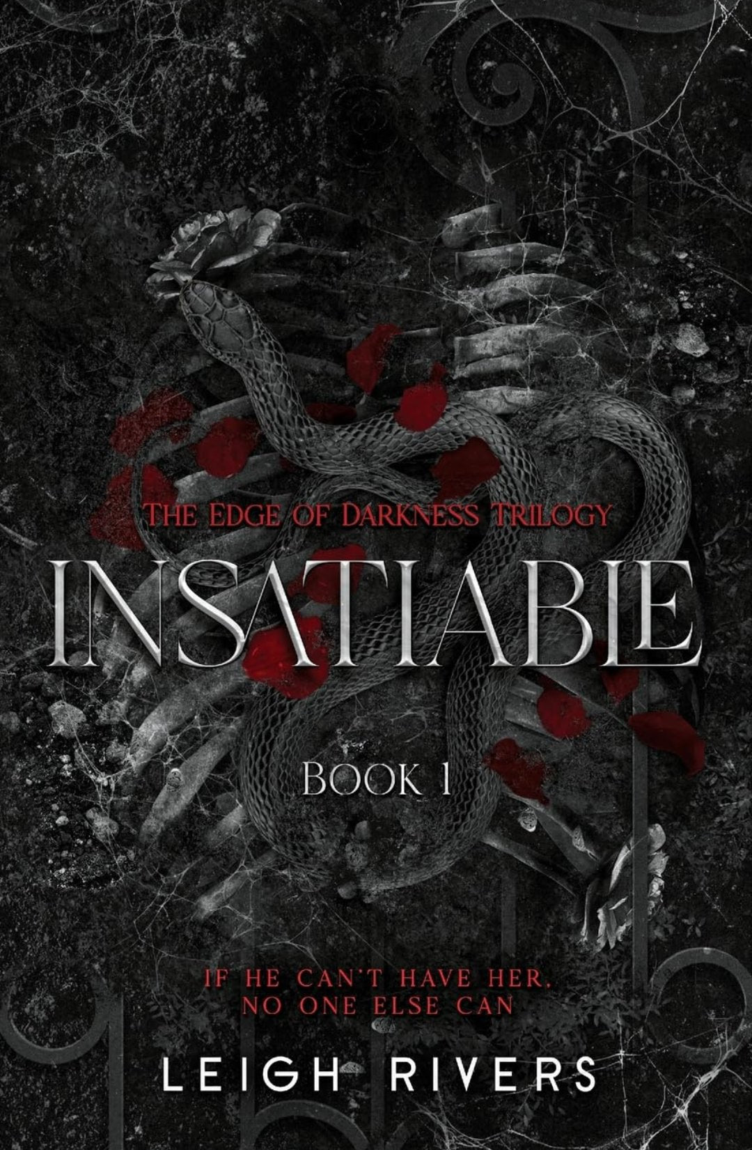 Insatiable (The Edge of Darkness, #1) by Leigh Rivers