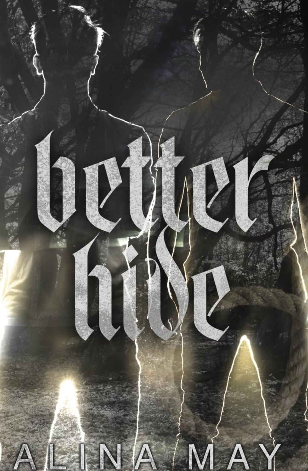Better Hide (The Run and Hide Duet, #2) by Alina May (Hardback - Sprayed Edges)