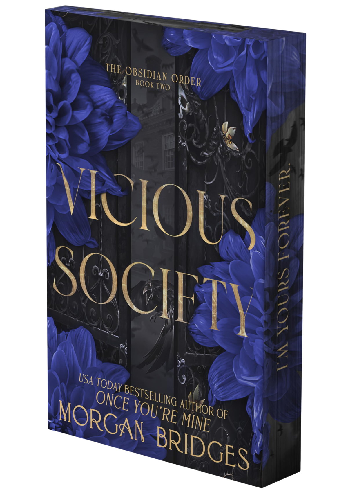 Vicious Society: A Dark Romance (The Obsidian Order, #2) by Morgan Bridges (Deluxe Limited Edition)