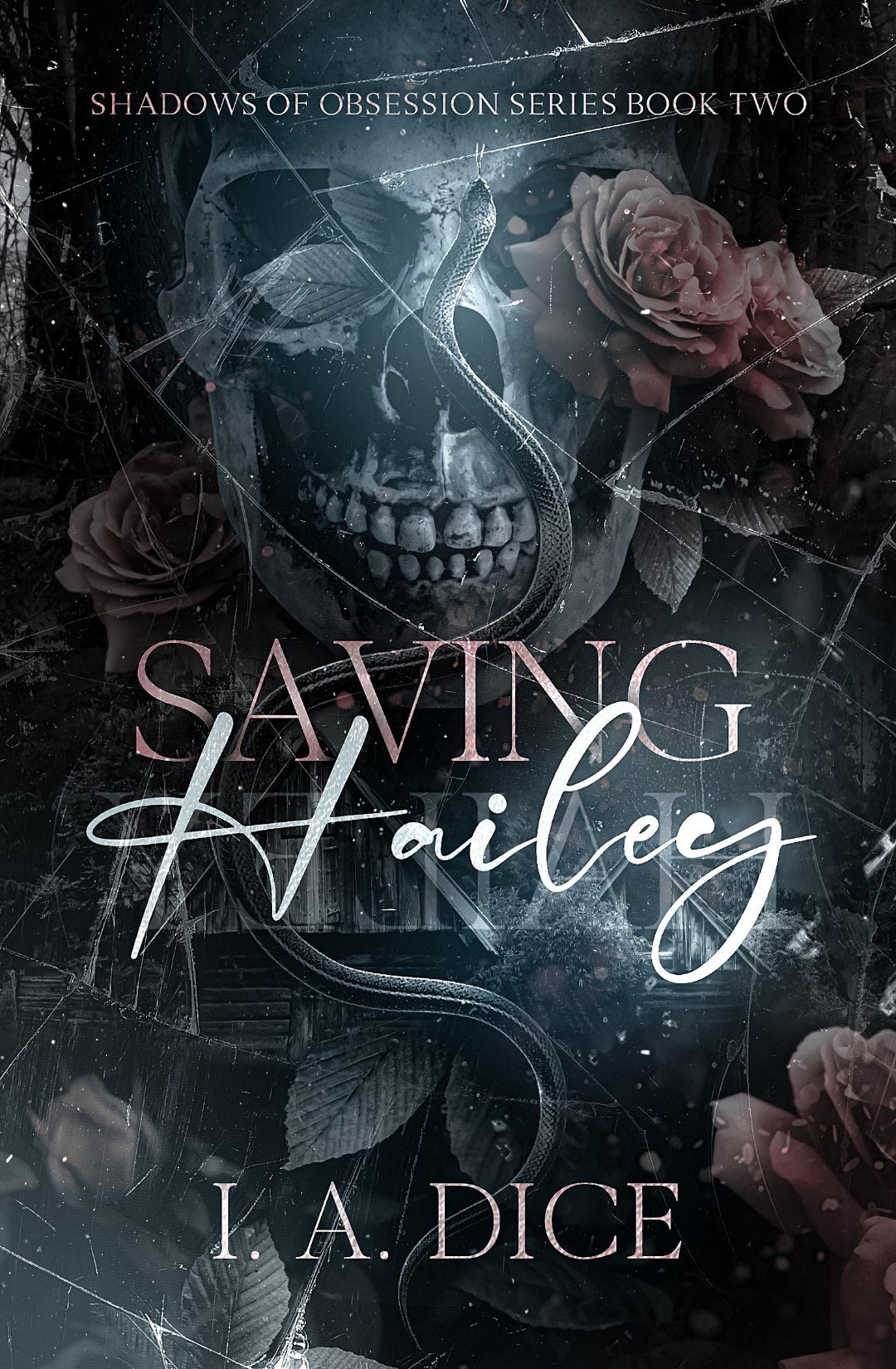 Saving Hailey- I.A. Dice