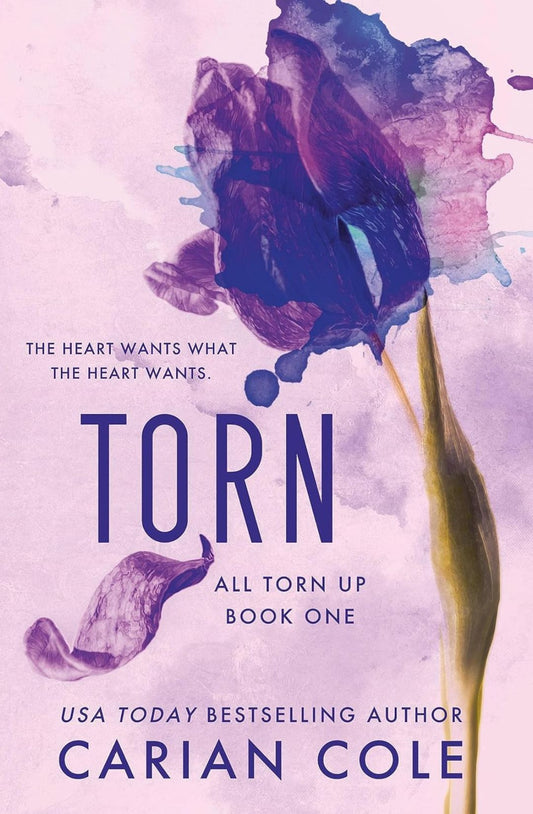 Torn (All Torn Up, #1) by Carian Cole