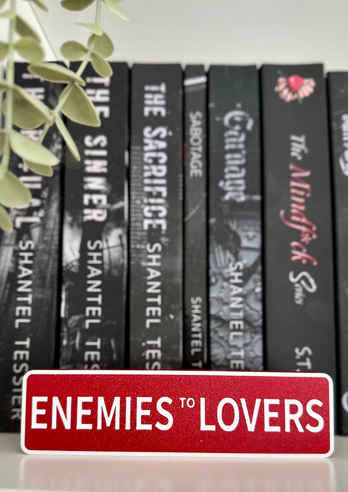 Enemies To Lovers- Bookshelf Street Sign