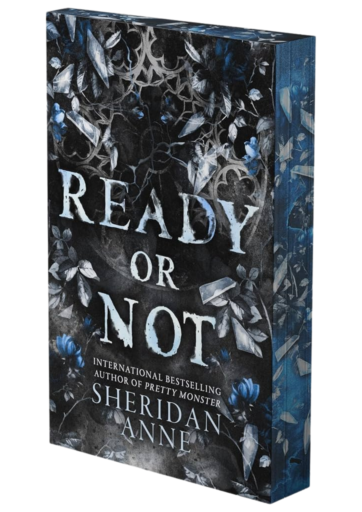 Ready or Not: A Dark Stalker Romance (Hide and Seek, #2) by Sheridan Anne (Deluxe Limited Edition)