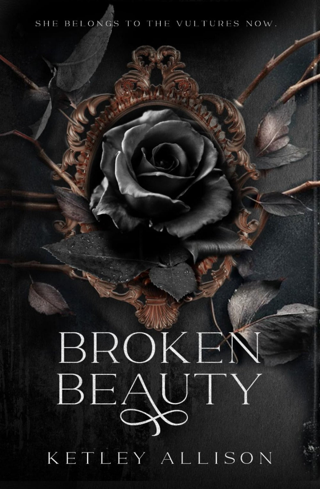 Broken Beauty - Ketley Allison (Titan Falls #1)