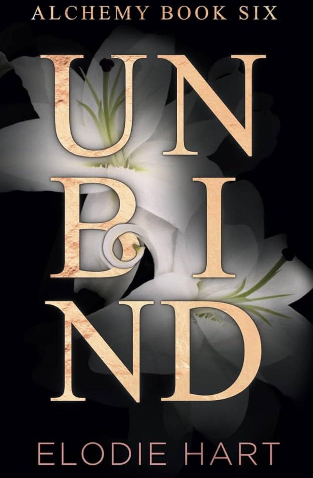 Unbind (Alchemy, #6) by Elodie Hart