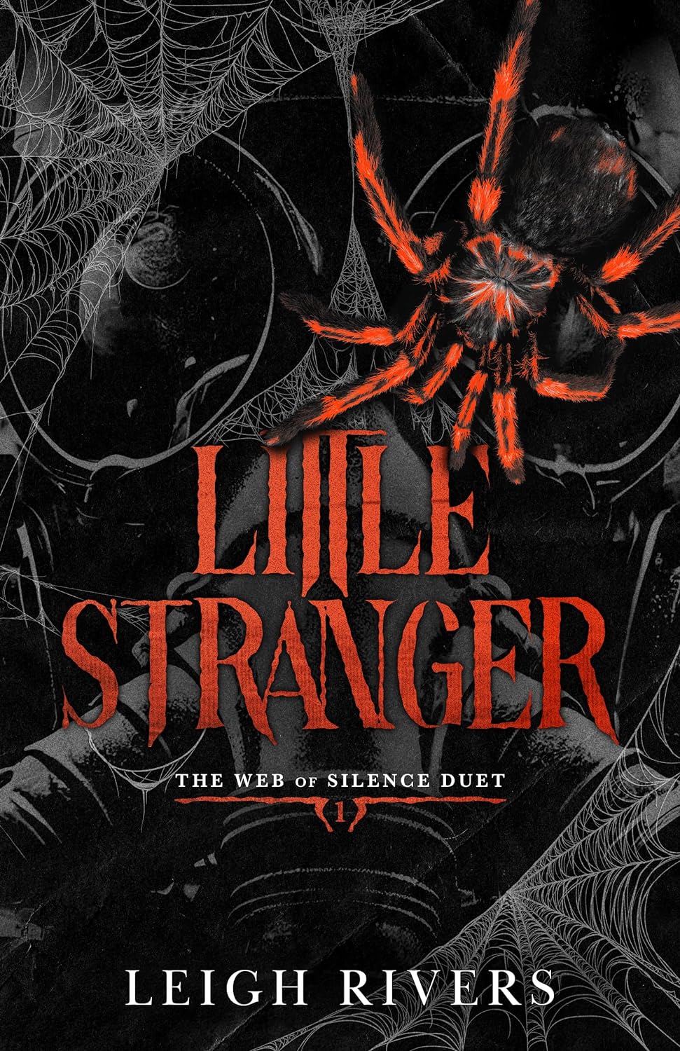 Little Stranger - Leigh Rivers