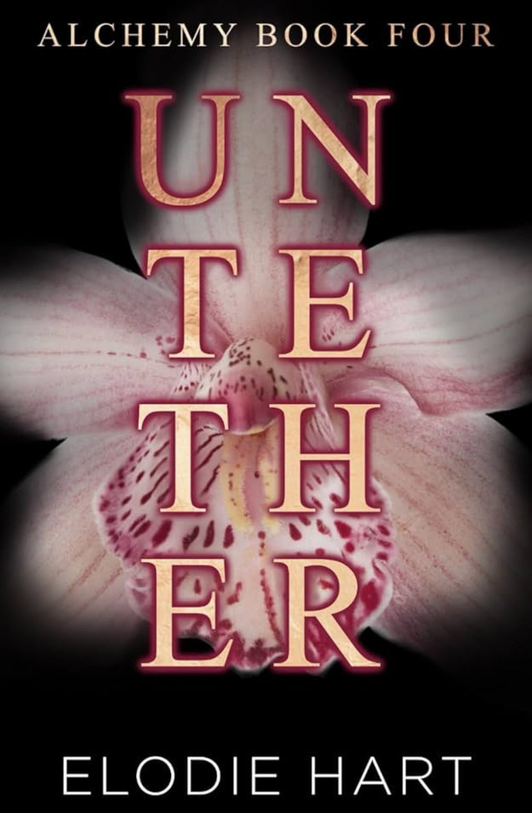 Untether (Alchemy, #4) by Elodie Hart