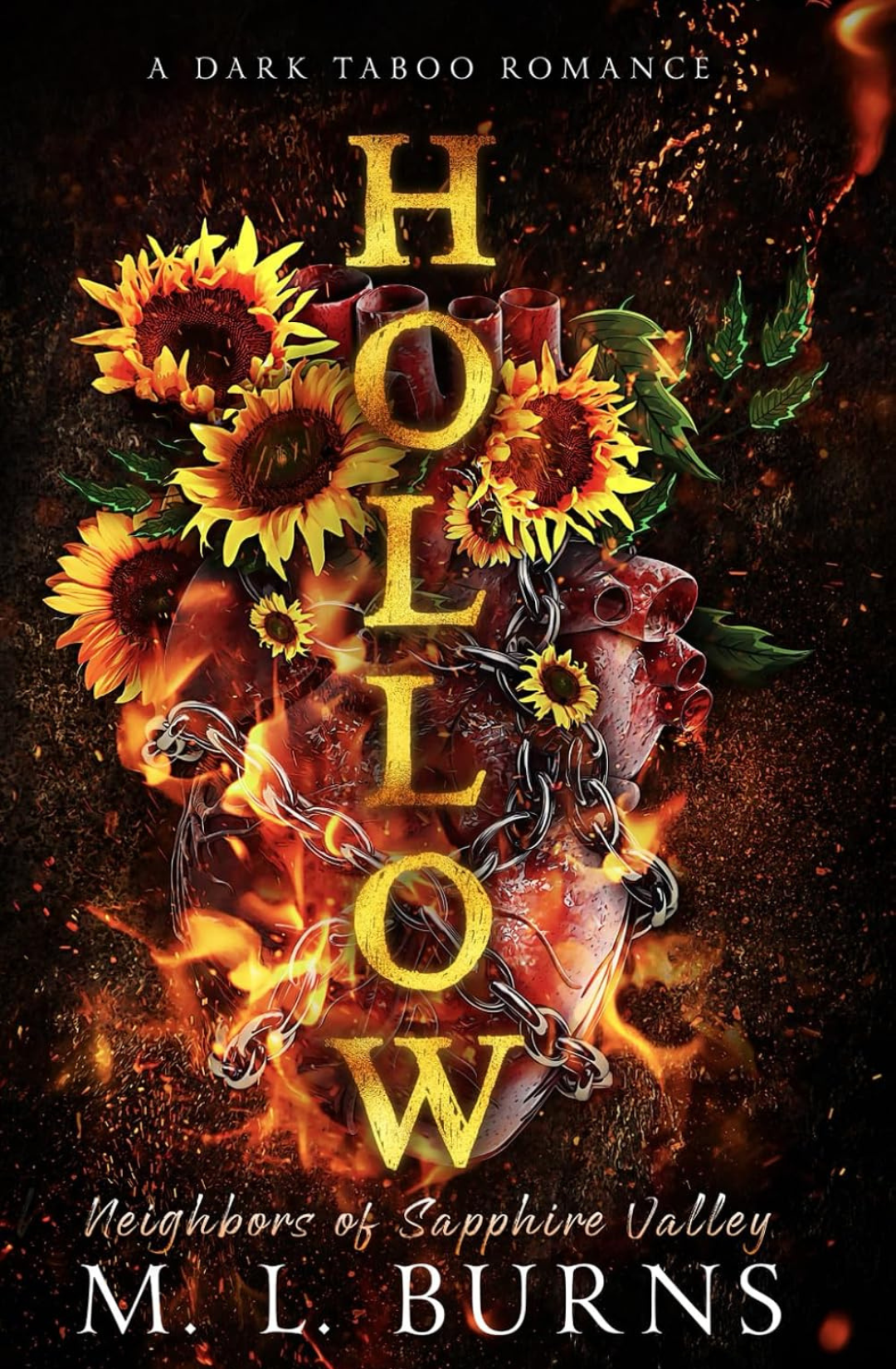 Hollow (Neighbors of Sapphire Valley, #2) by M.L. Burns