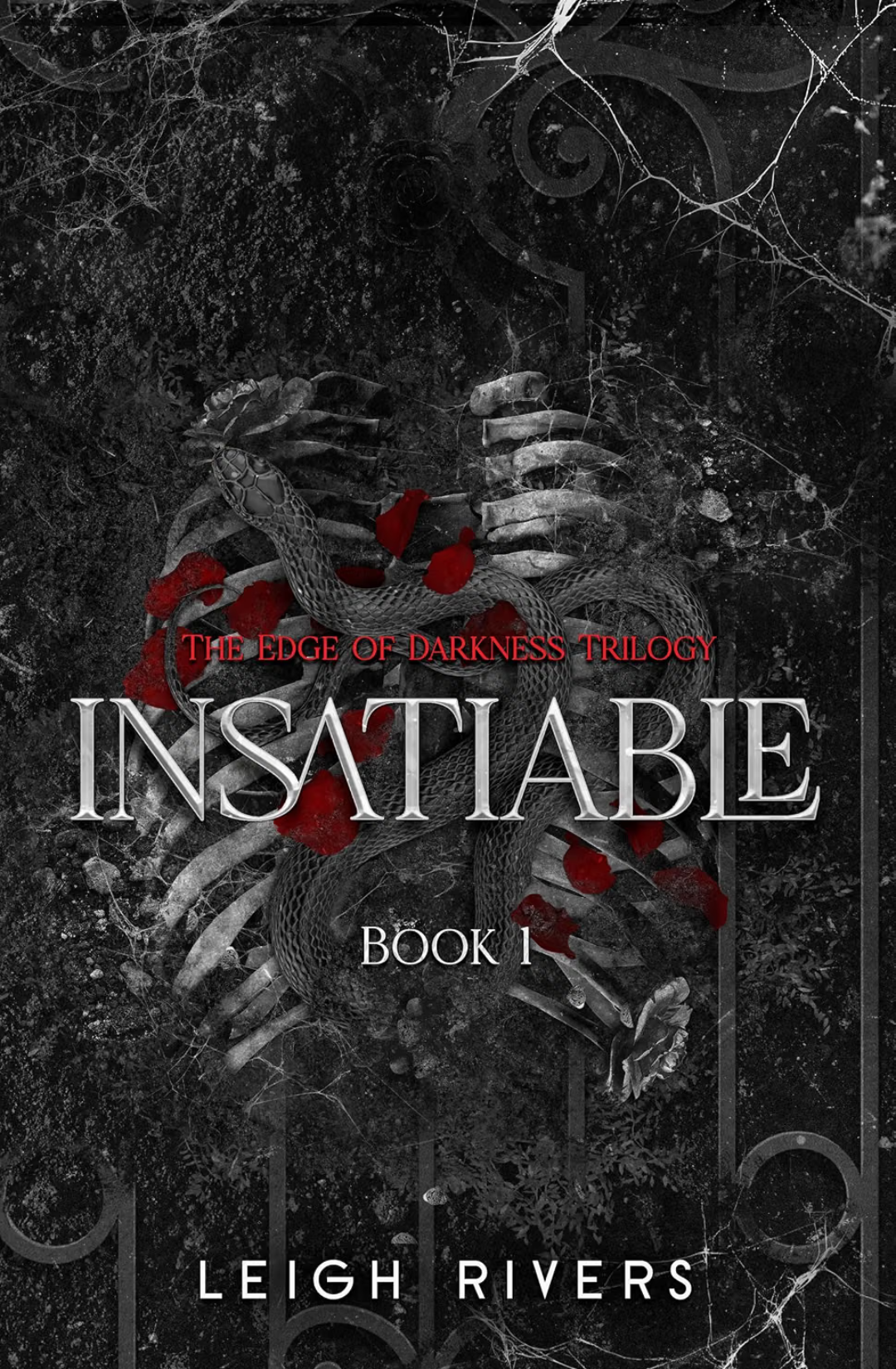 Insatiable (Edge of Darkness, #1) by Leigh Rivers