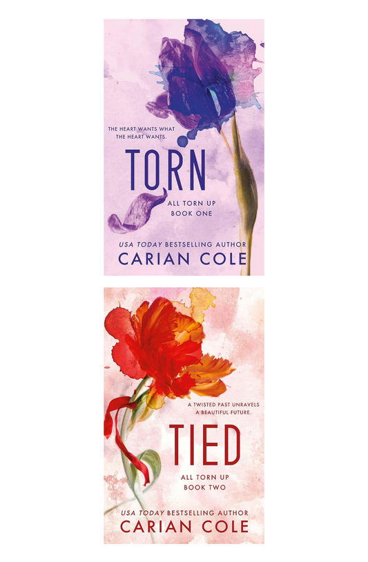 All Torn Up Series by Carian Cole