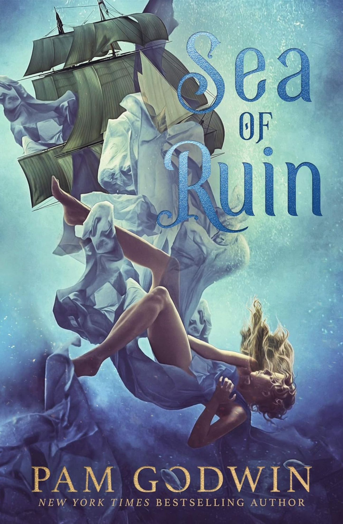 Sea Of Ruin - Pam Godwin