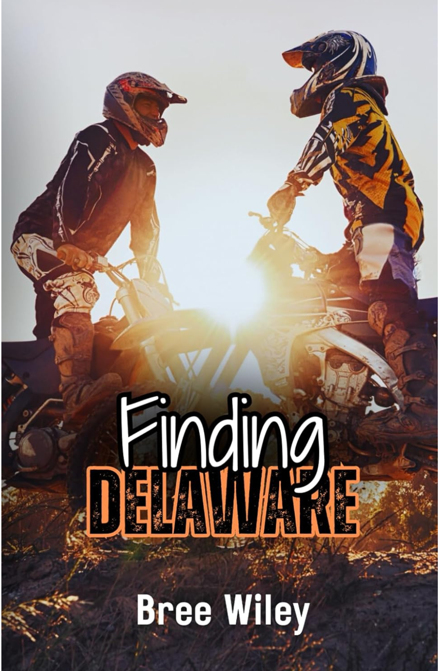 Finding Delaware by Bree Wiley