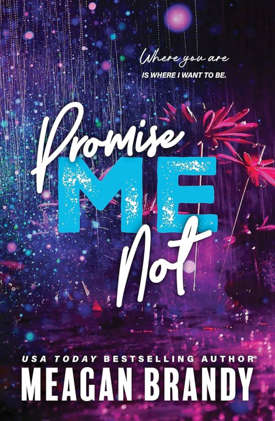 *DAMAGED* Promise Me Not - (Boys of Avix #2) Meagan Brandy