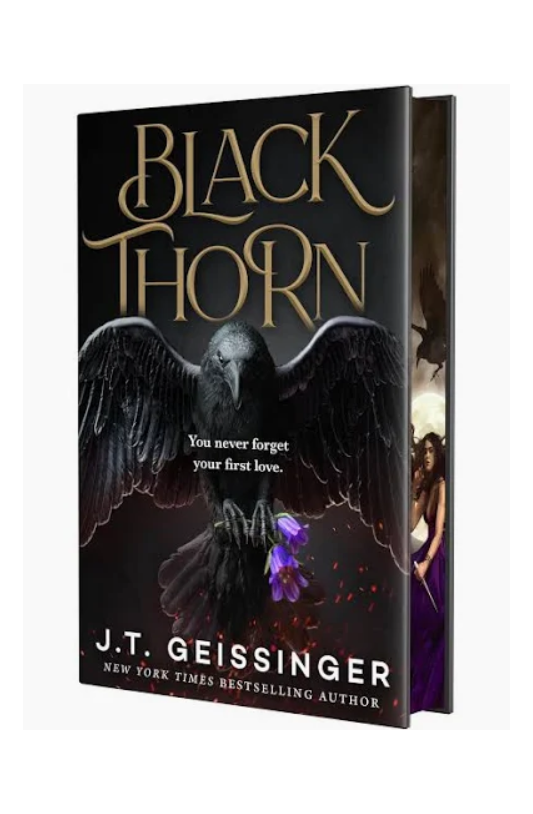 Black Thorn by J.T. Geissinger Hardback Deluxe Edition