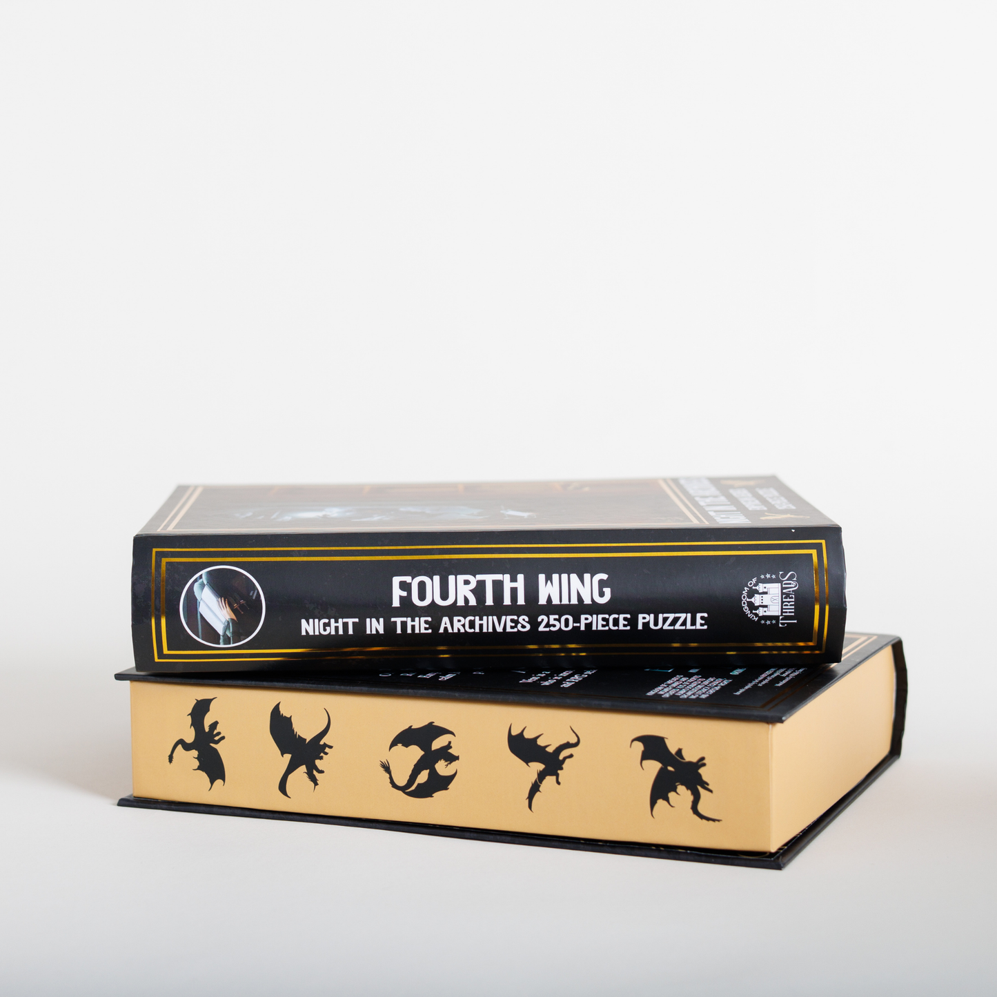 Night in the Archives Keepsake Puzzle | Fourth Wing